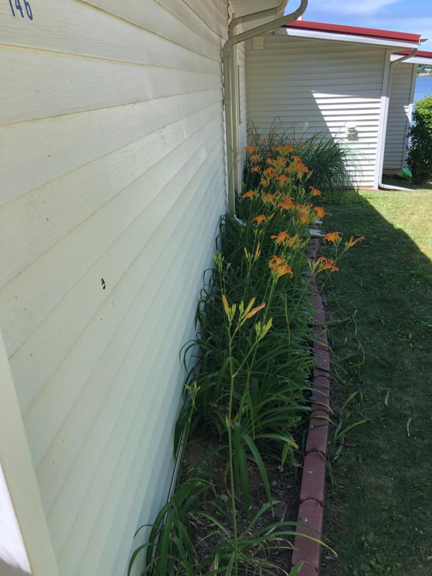 The Wellington Lake Cottage Middlebury Экстерьер фото